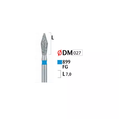 Həkimlər üçün almaz başlıqlı bor (899 FG 027)
