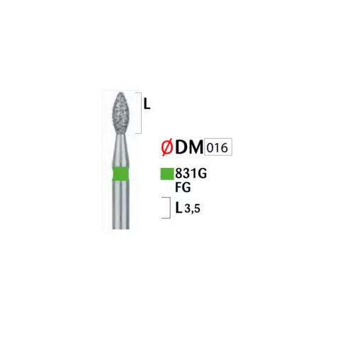 Həkimlər üçün almaz başlıqlı bor (831 G FG 016)