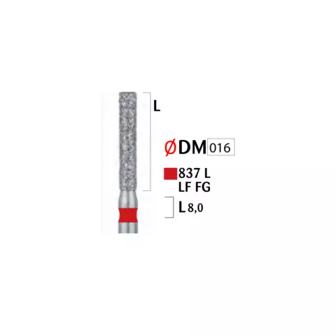 Həkimlər üçün almaz başlıqlı bor (837 LF FG 016)