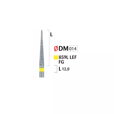 Jota bor (859 lef fg 014)